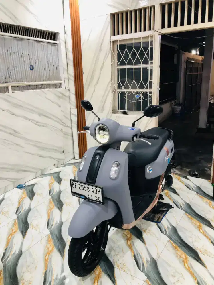 FAZZIO NEE LUXURY 2025 FULL GRESS Pajak Hidup