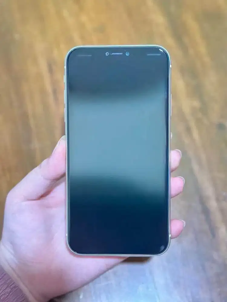 IPHONE 11 64 GB EX IBOX NO MINUS LENGKAP