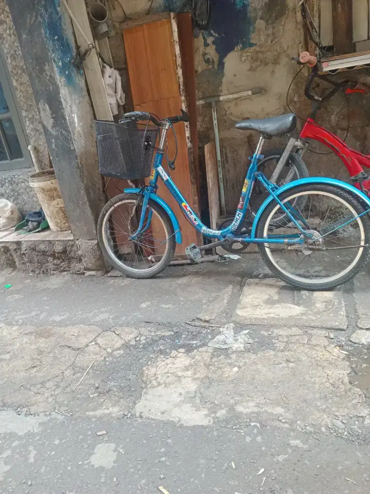 Sepeda minion keranjang uk 20 dewaaa siap pakai