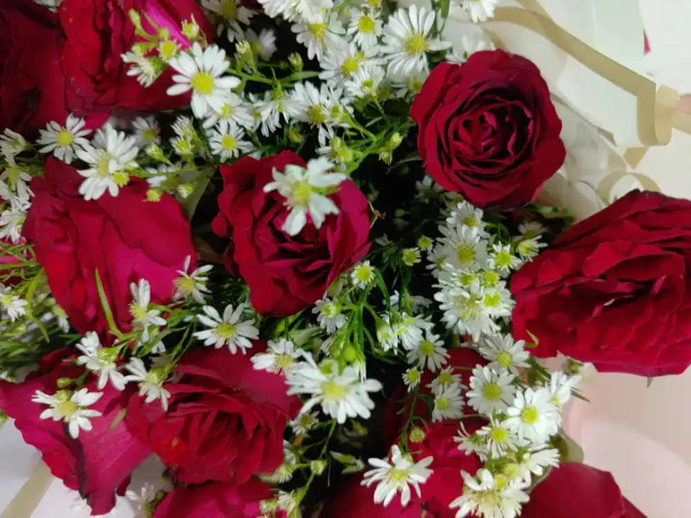 Kato Loundry suvarna sutra terace 9