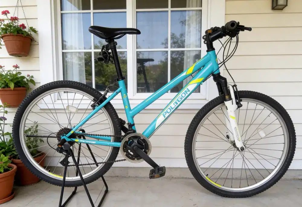 Sepeda gunung MTB polygon ladys