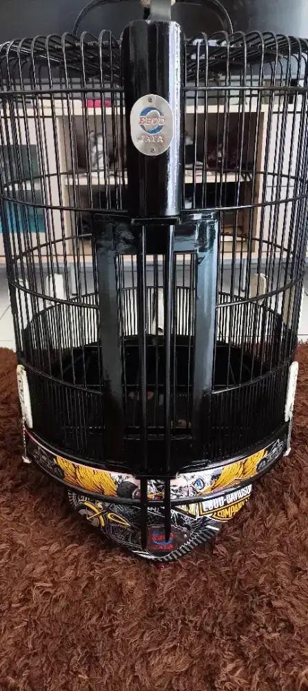 Sangkar anis decal harley