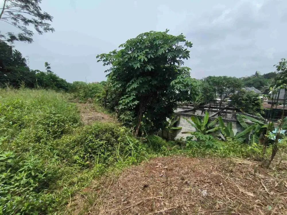 Dijual Tanah Luas, harga murah