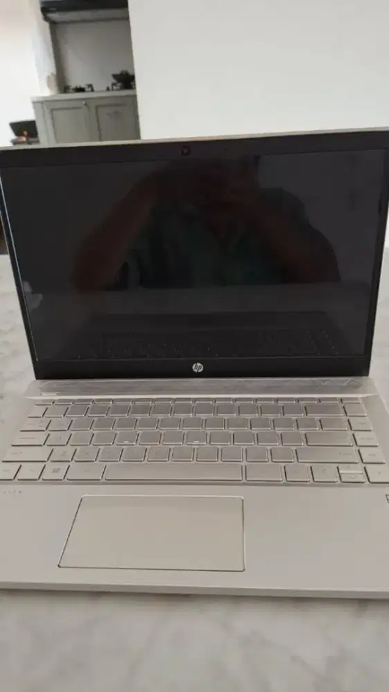 HP Pavilion 14-ce3012TX (Core i7-1065G7/8GB/512GB/MX250)