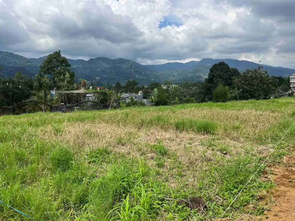 Tanah Siap Bangun Luas 239m2 Dekat Jalan Raya Puncak