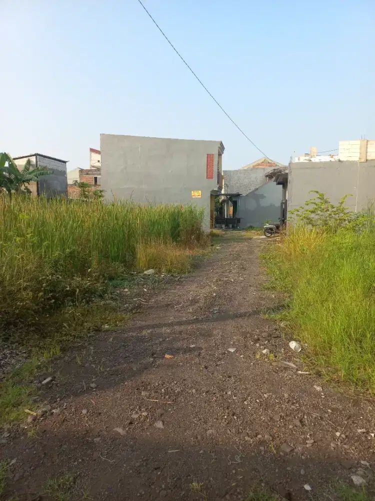 Tanah dijual tanpa perantara bisa nego