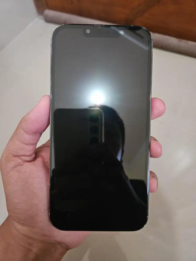 Iphone 13 Pro 128GB inter alloprator sinyal aman ios update fullset