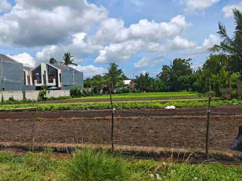 Dijual Tanah di Sepatan Cocok Dibangun Cluster