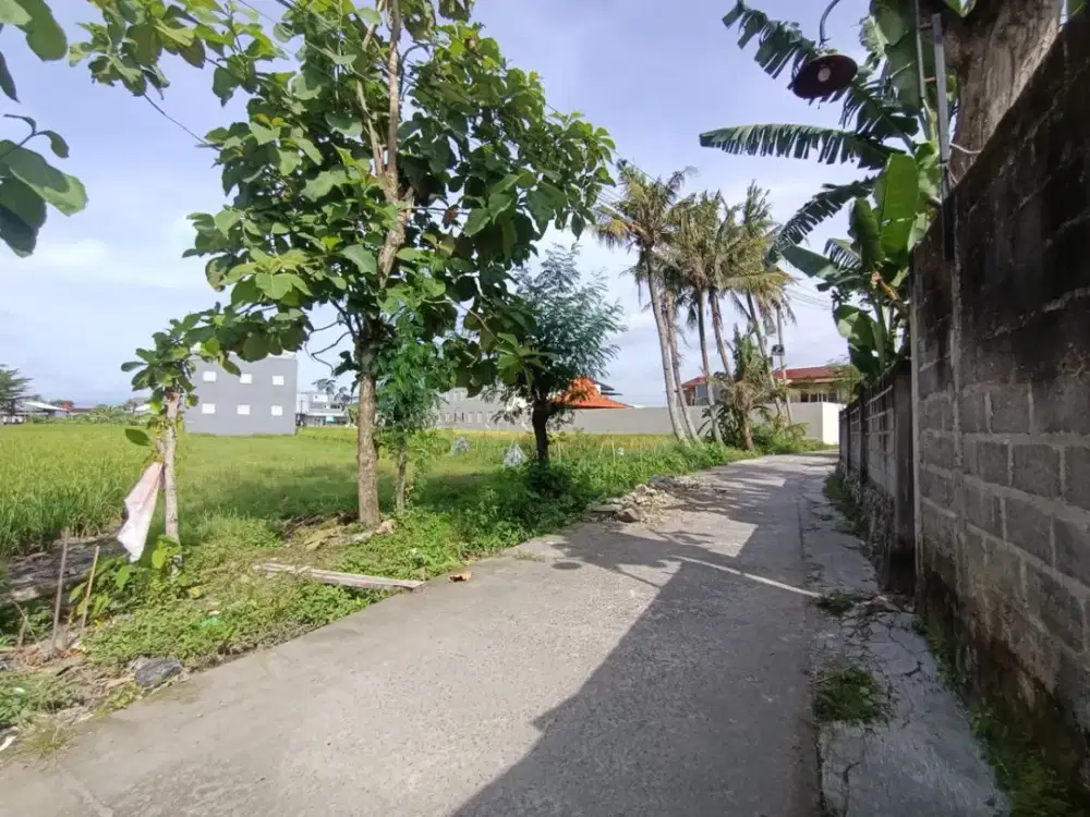 DIJUAL CEPAT TANAH SHM PEKARANGAN SUPER STRATEGIS LOKASI NGEBEL BELAKANG KAMPUS UMY, TAMANTIRTO,KASIHAN