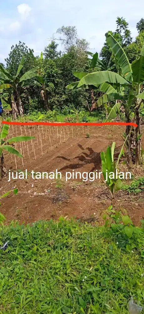 Jual tanah pinggir jalan
