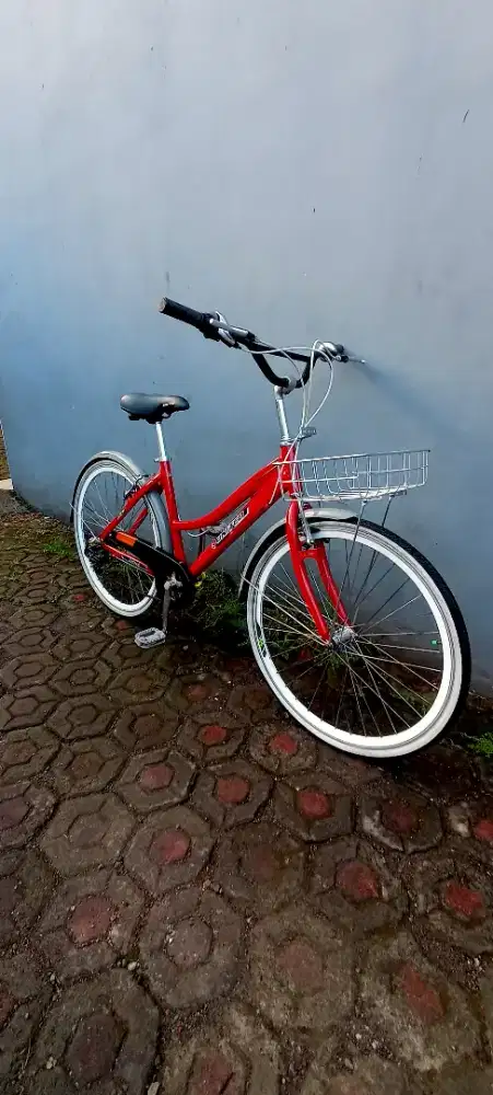 Sepeda 26'' united ,Alloy