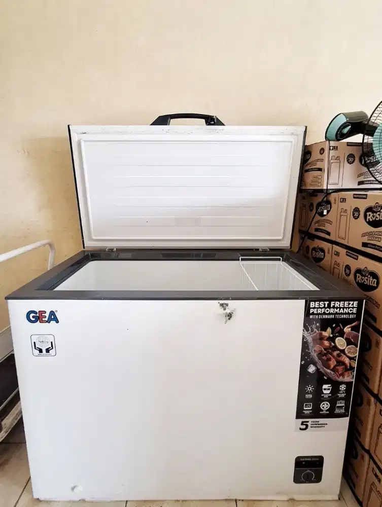 Freezer GEA AB-318R