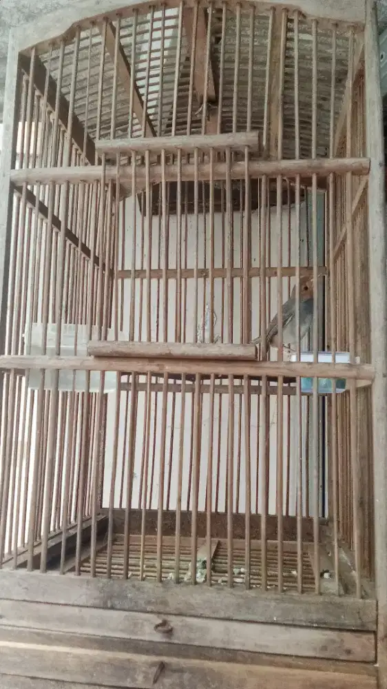 Sangkar kotak ukuran No4