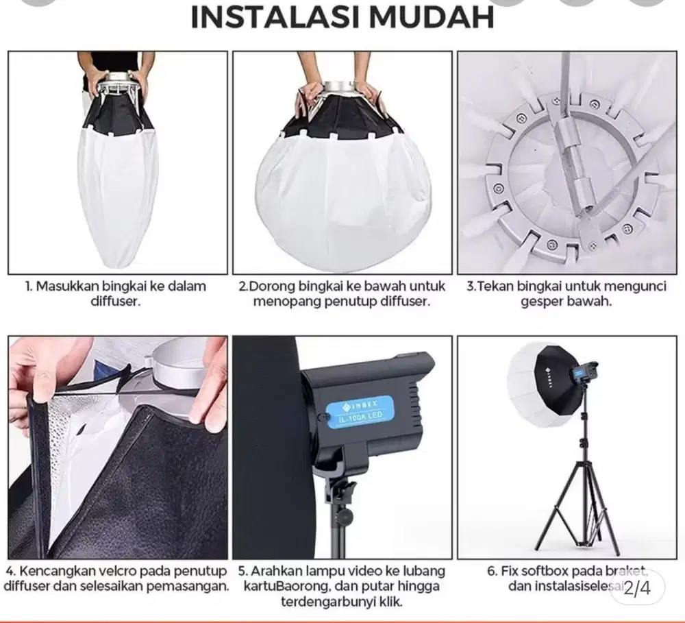 Softball profesional