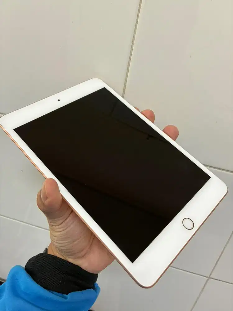 iPad Mini 5 5th gen 64GB