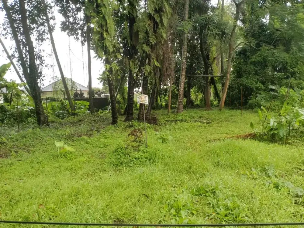 Dijual Tanah Ukuran Kecil 3 Are Langka di Singakerta Ubud