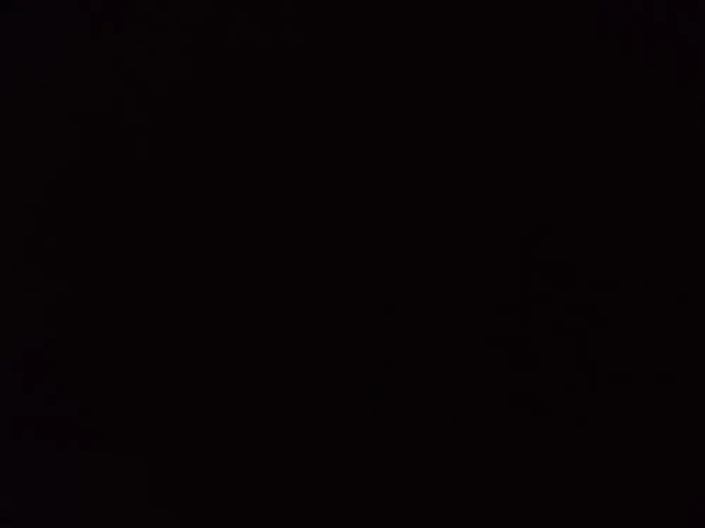 Asisten rumah tangga