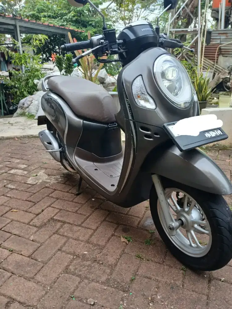 Honda scoopy thn 2022