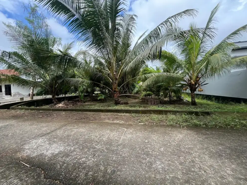 DIJUAL TANAH SIAP BANGUN LOKASI STRATEGIS DI DAERAH PENGASIH KULON PROGO