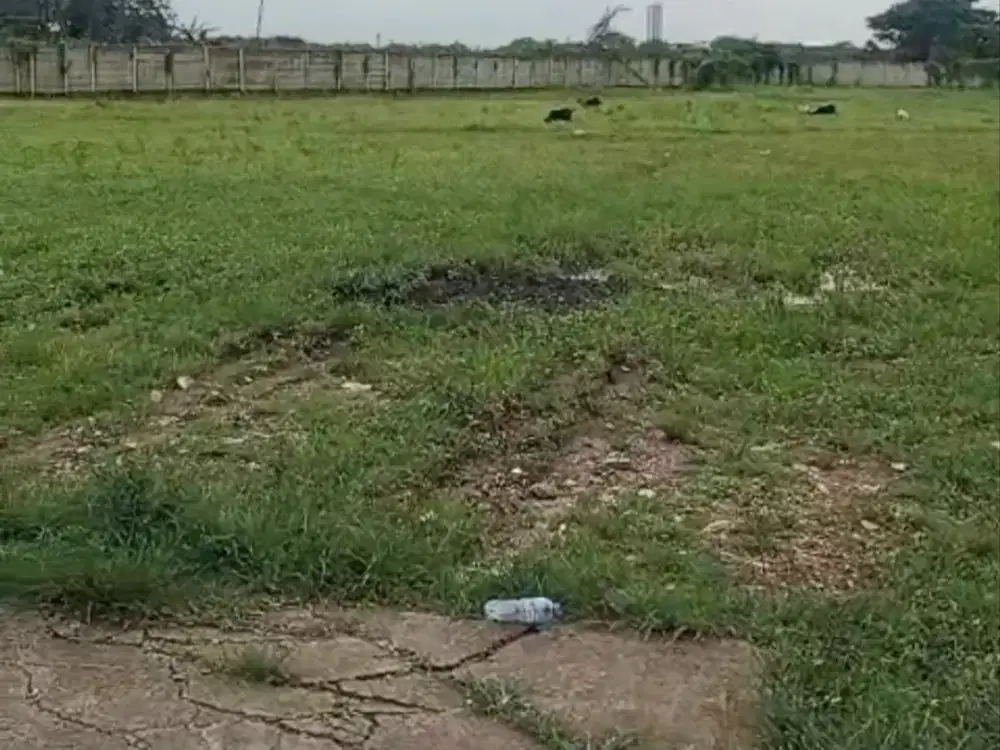 Lahan 2,4 Hektar Disewakan di Ujung menteng Cakung Jakarta Timur