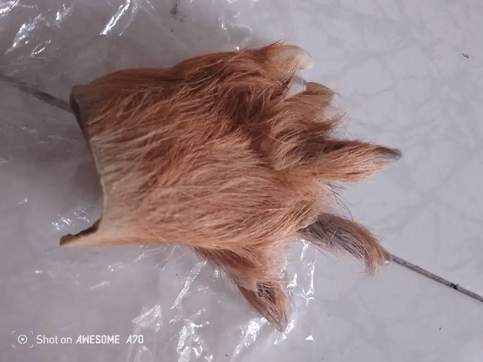 Koleksi Cha Khar Antik Bekas.