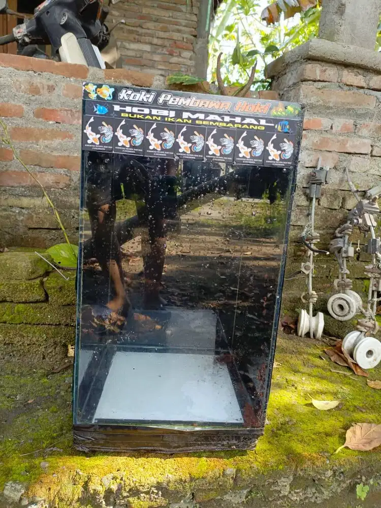 Aquarium tank 60cm x 30 cm x 30cm tebal 3mm