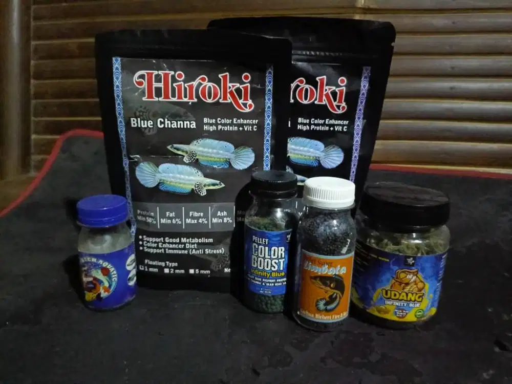 pelet premium ikan channa blue pulchra dan limbata