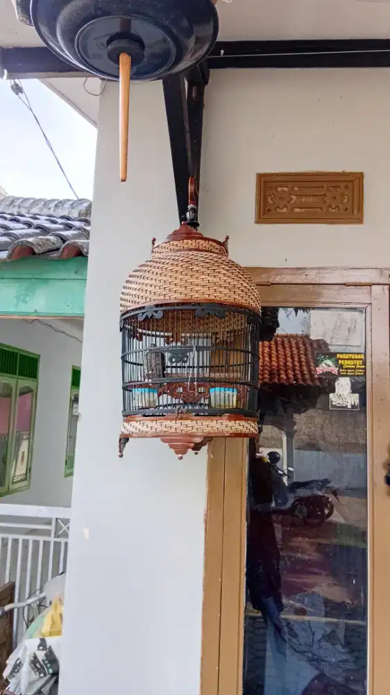 Sangkar perkutut / kandang perkutut bambu