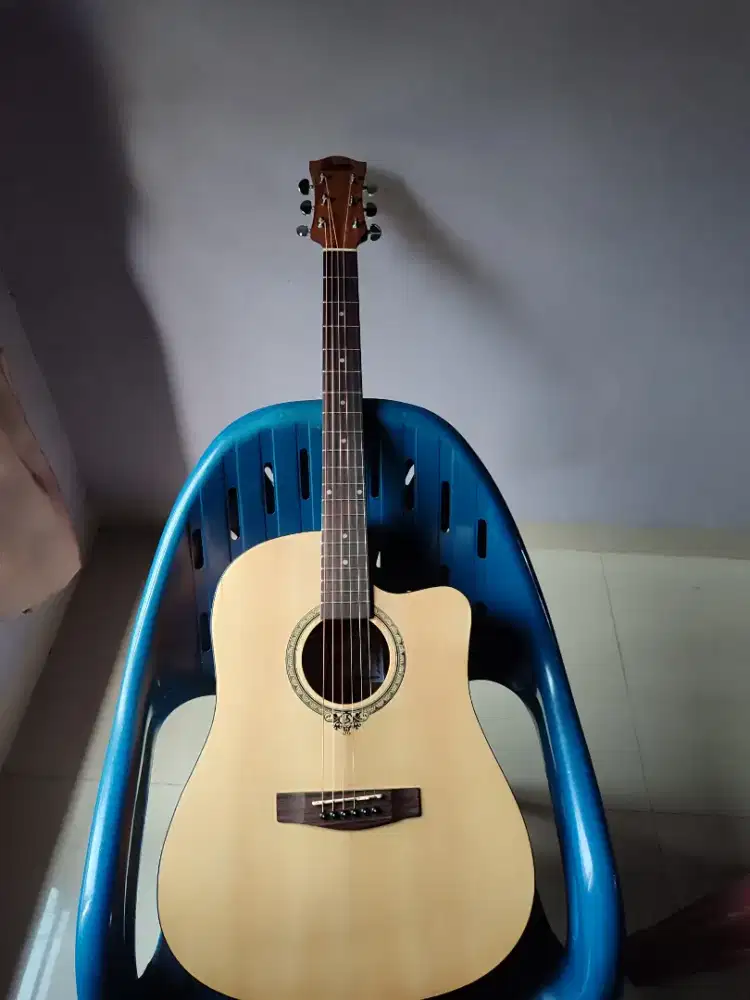 Gitar dluxe D110+capo besi