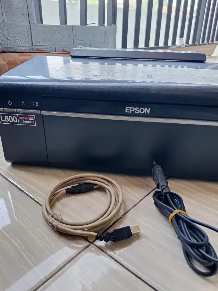 Printer Epson L800 Gambling