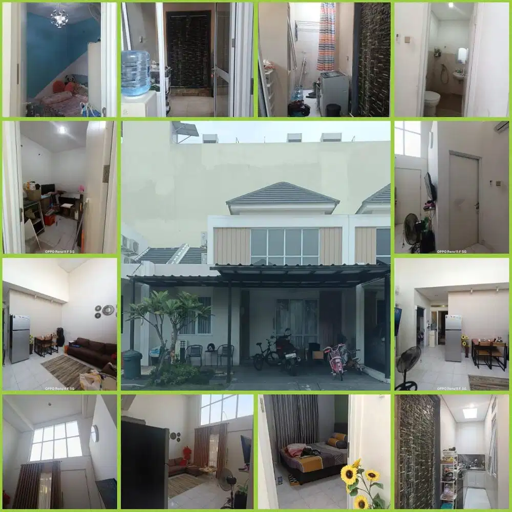 JUAL OR OVER PARAMOUNT PETAL ASTER 7X12