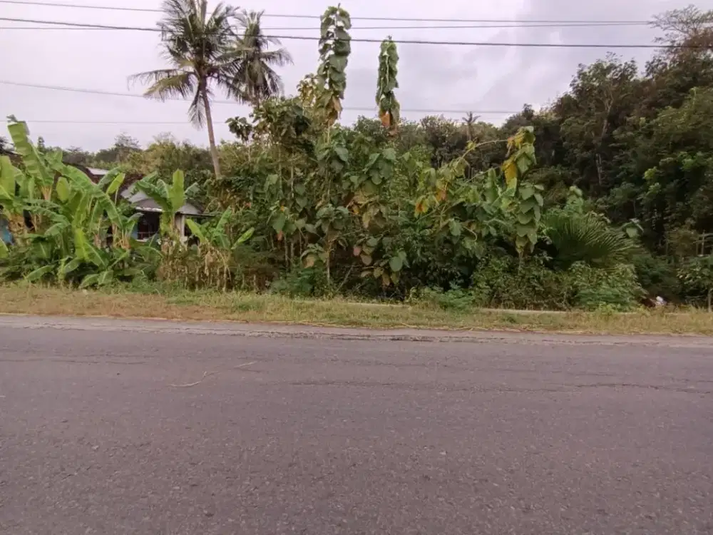 DIJUAL CEPAT TANAH MURAH SUPER STRATEGIS LOKASI JL WATES KM 13, SEDAYU BANTUL, DEKAT RSA DAN KAMPUS UKDW SEDAYU