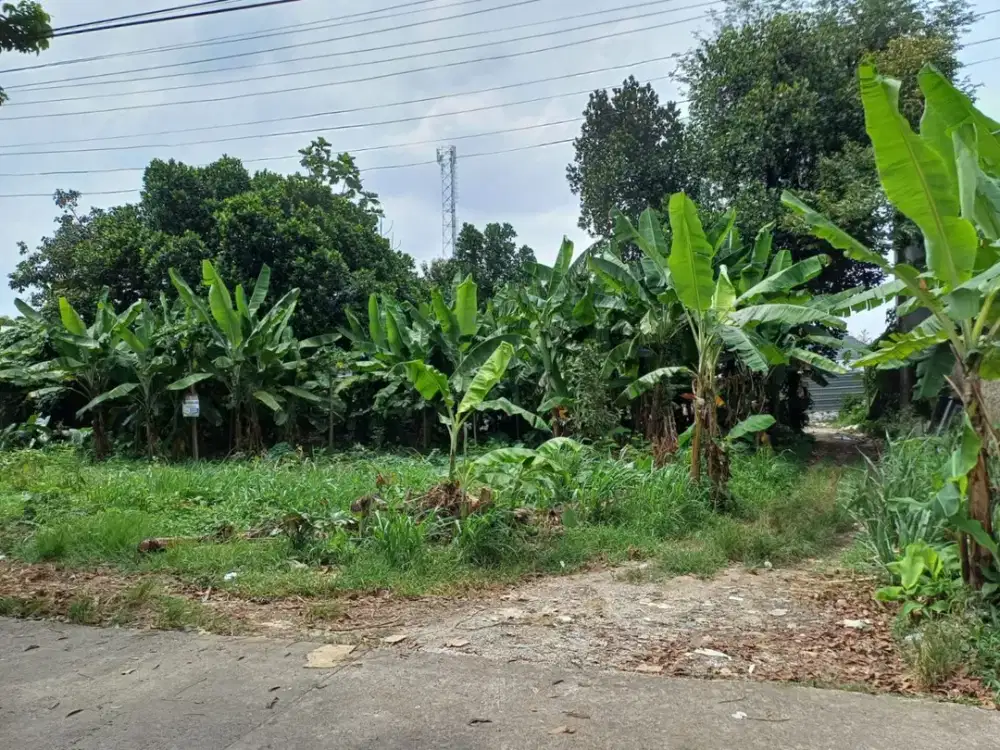 Sebidang Tanah Siap Bangun/PAKAI - Lokasi : Cinangka , Sawangan ~ Depok.