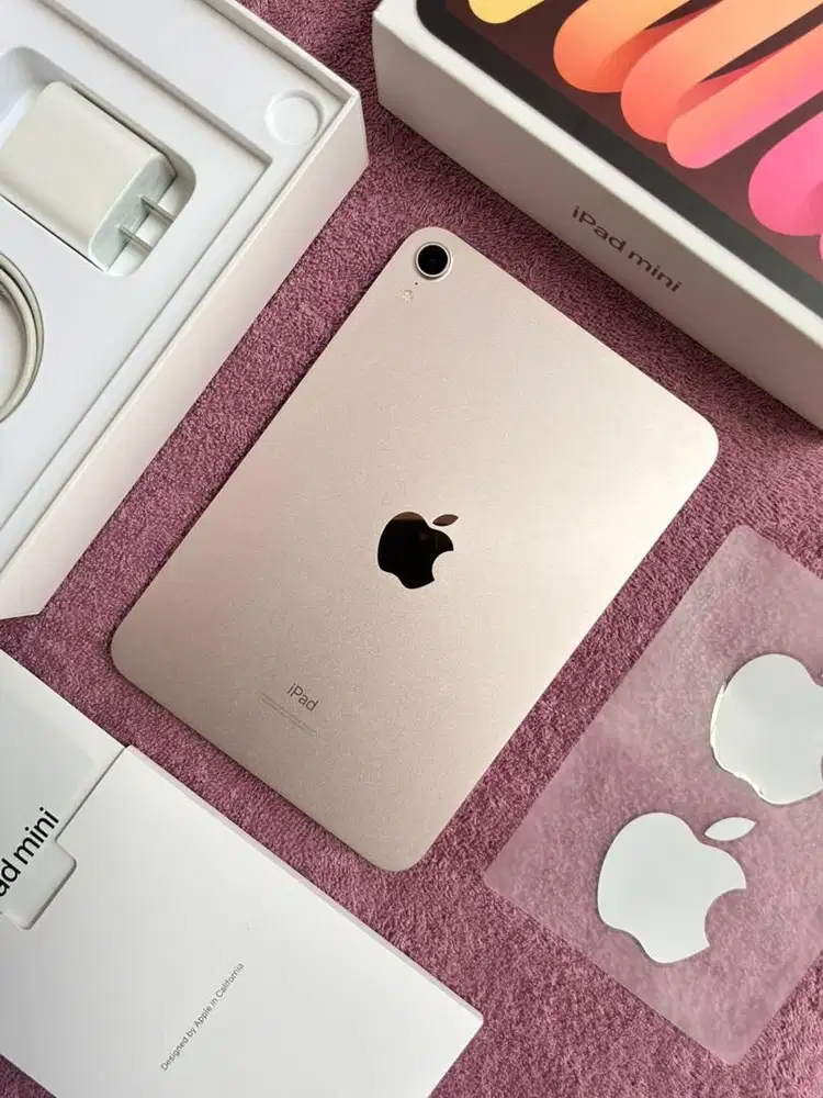 iPad Mini 6 64Gb Pink Wifi