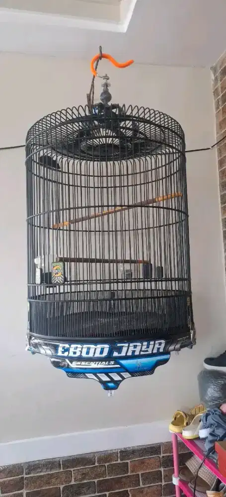 Kandang / sangkar murai ebod pvc decal 2