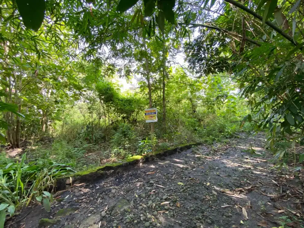 Tanah Asri di Kota Budaya Bantul Hanya 1,9 Jt Harga Nego!