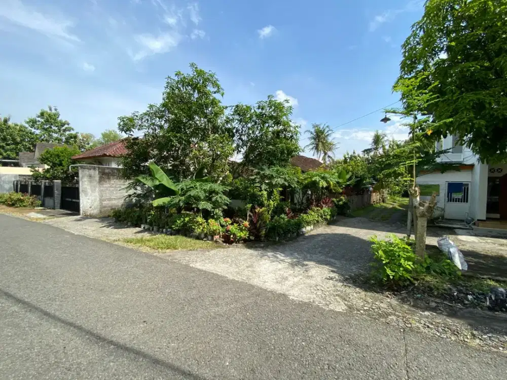 Jarang Dilirik, Padahal Menguntungkan! Lahan Strategis di Bantul