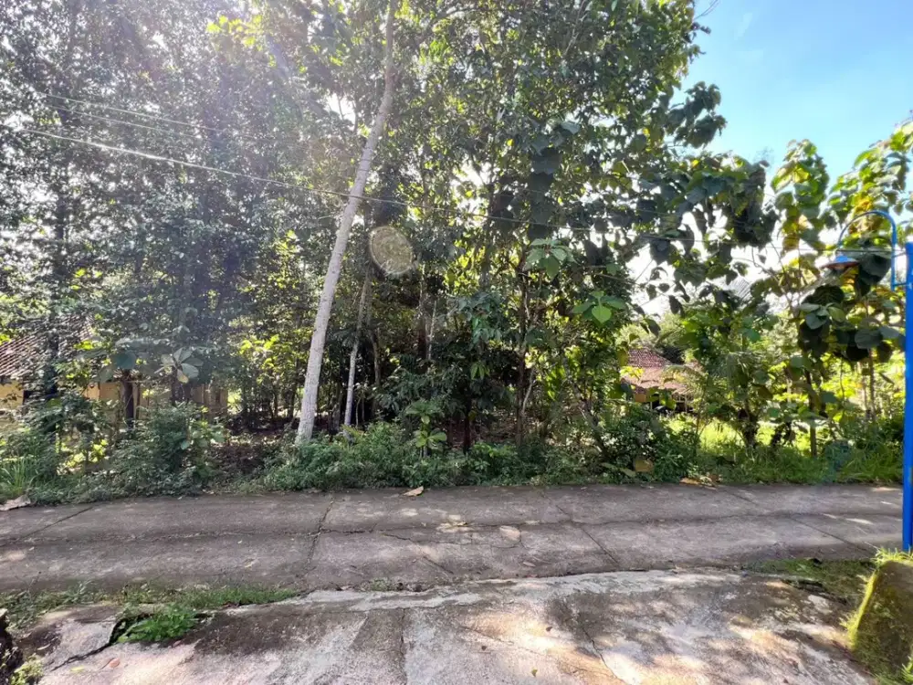 BU CEPAT DIJUAL TANAH MURAH STRATEGIS DI SEDAYU, BANTUL Dekat Calon RSA dan Kampus UKDW Sedayu