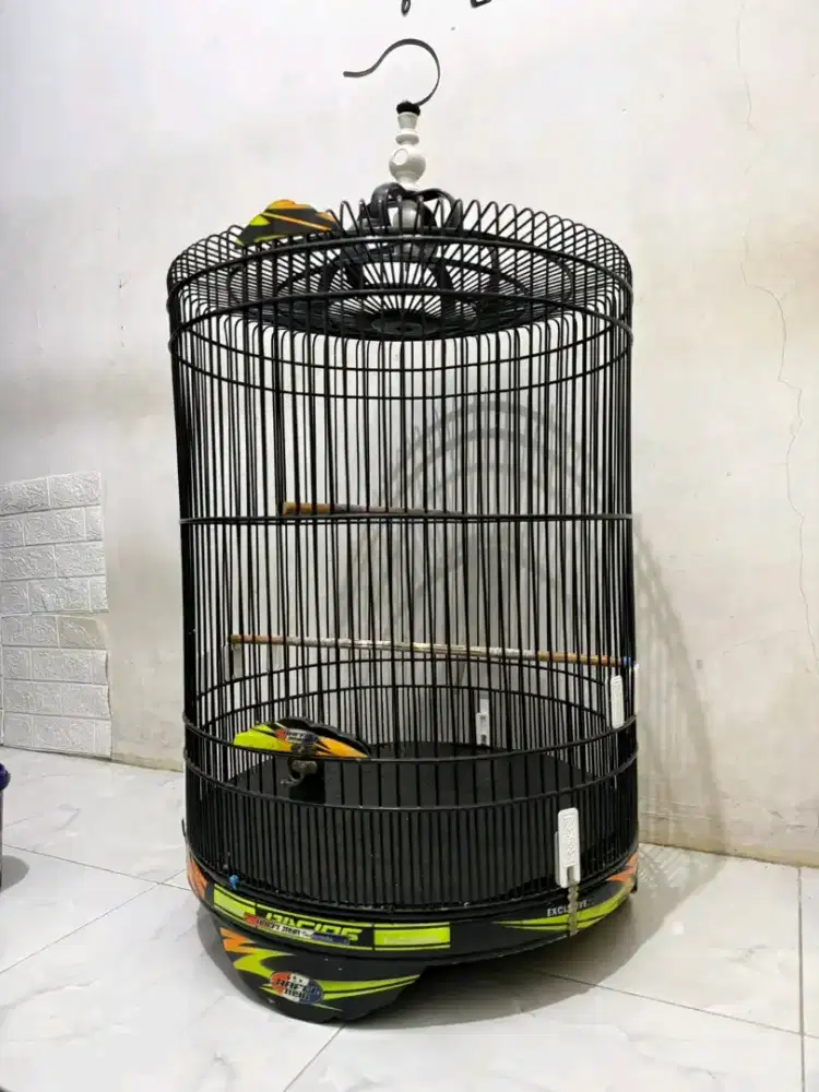 kandang / sangkar murai decal no.3