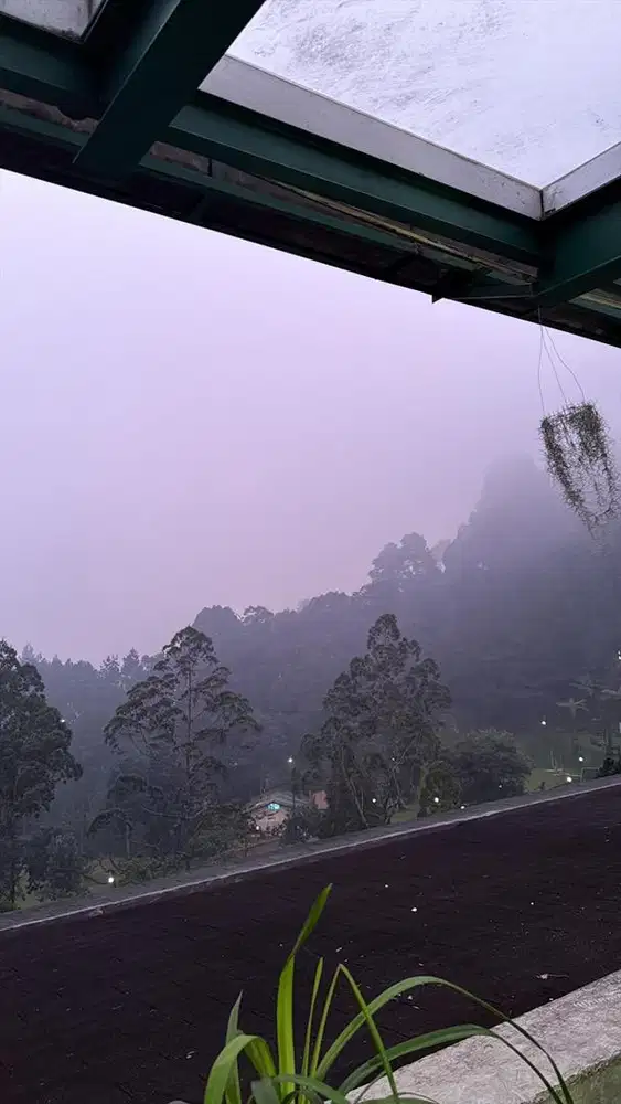 DiCari supir pribadi berpengalaman