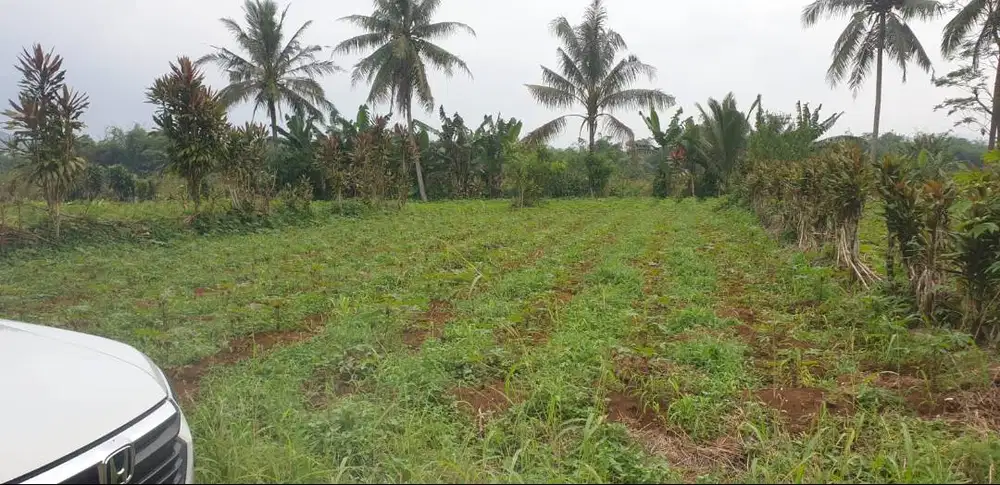 Tanah Luas 485 m² – Investasi Cerdas dan Harga Bersahabat!