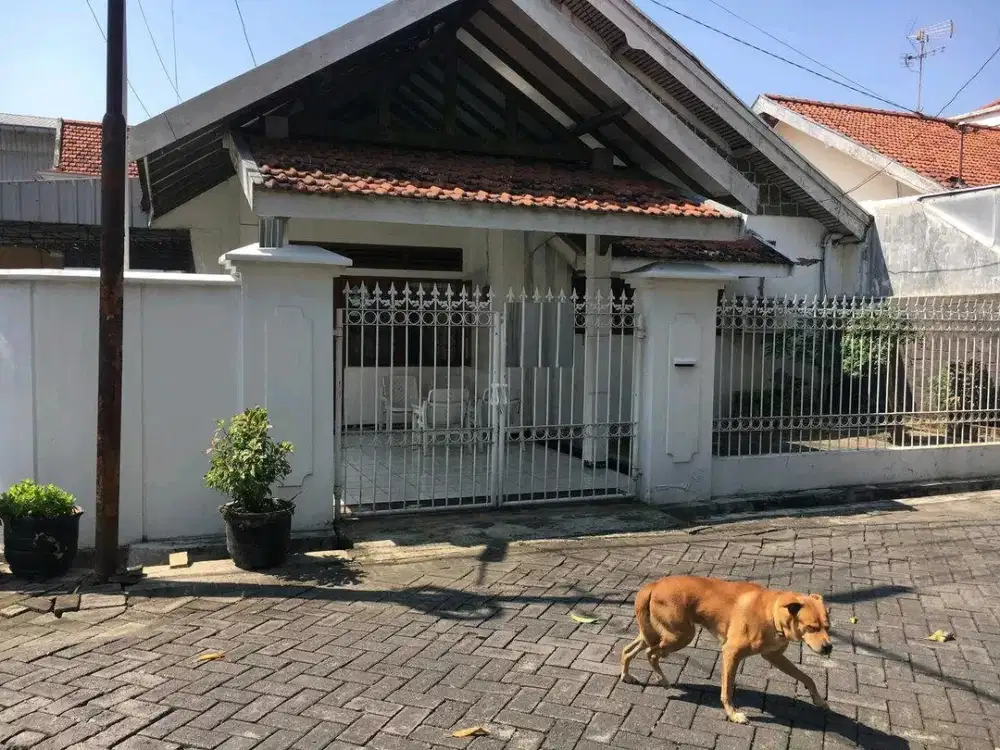 DIJUAL RUMAH NGAGEL JAYA UTARA SURABAYA RON.A2536