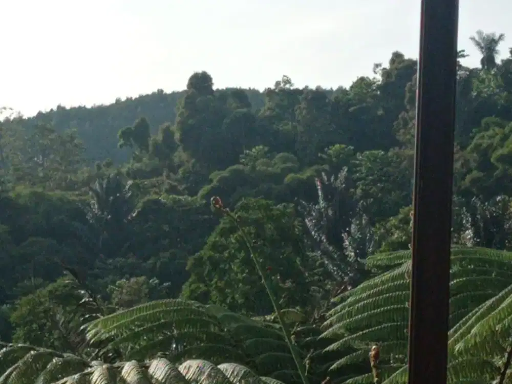 Dijual Villa Mewah 2 Lantai Asri Sejuk Siap Huni Minimalis Lokasi di Lembang Bandung