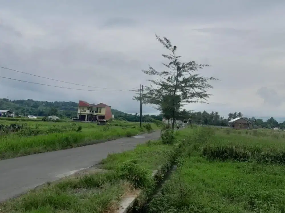 Tanah Sawah pinggiran kota/barat kampus umy mangku jalan akses mobil belakang sungai kecil.JK4012
