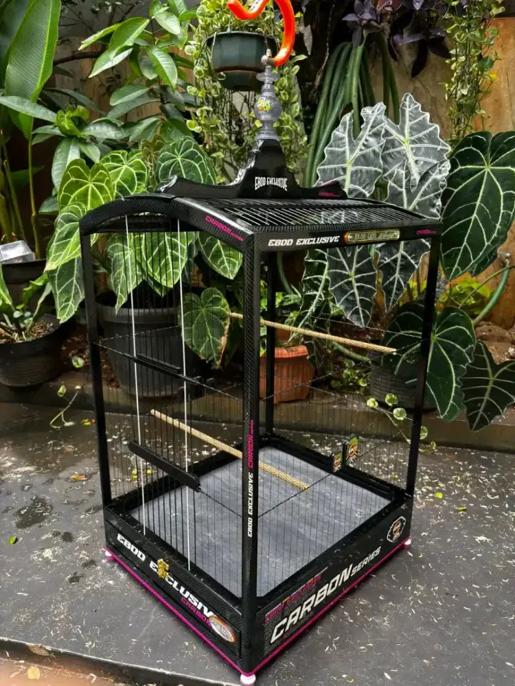 kandang kotak ebod exc no.2 ruji senarr (sertifikat )