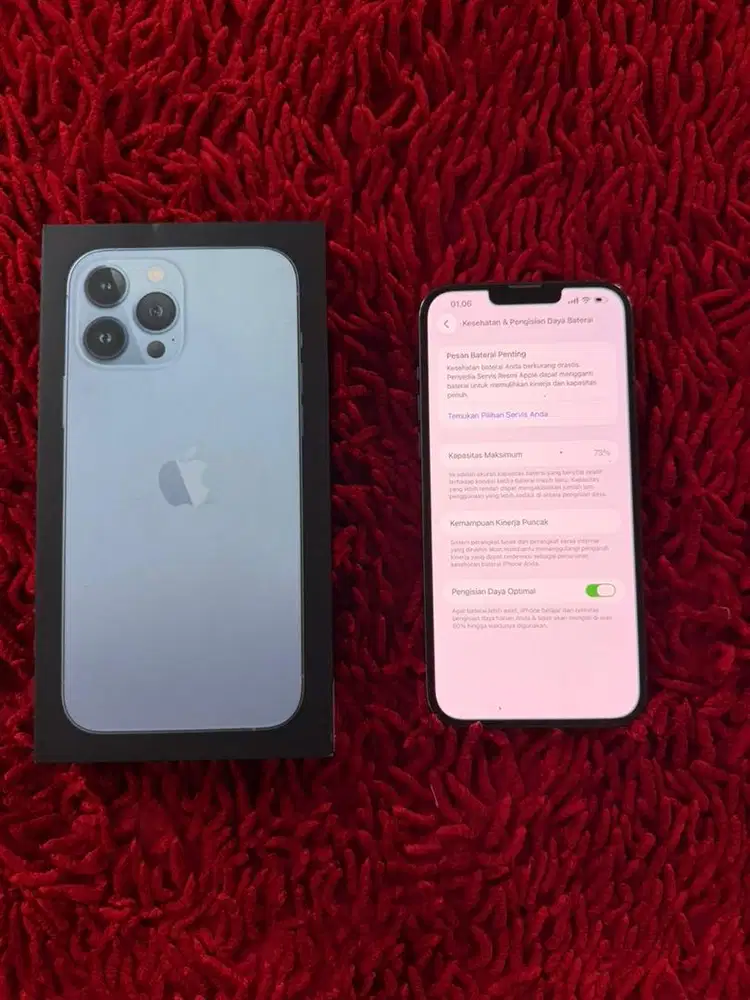 iphone 13 Pro Max 256gb