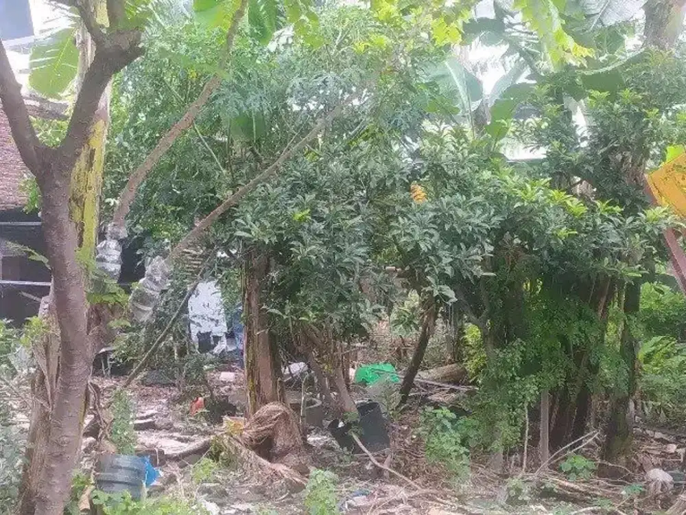 DIJUAL TANAH SIWALANKERTO TIMUR SURABAYA RON.A2539