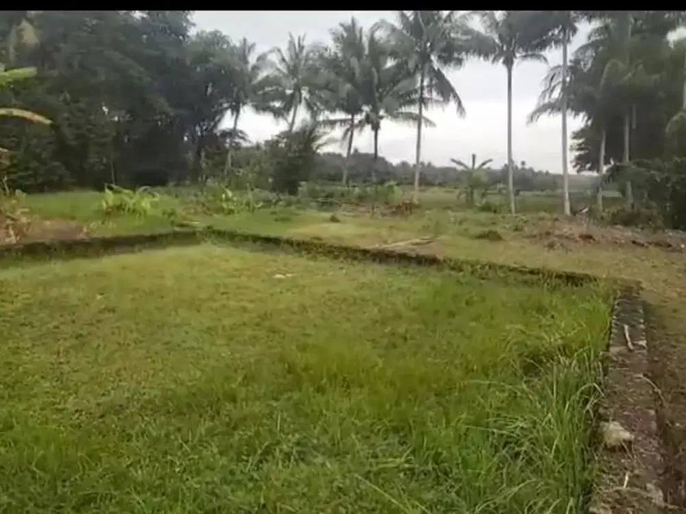 Tanah kapling di barat Pasar Butuh Jln Raya Sentolo -Brosot Siap Balik Nama.jk4013