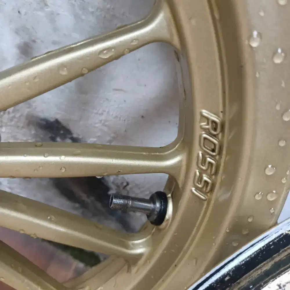 Velk Rossi ring 12 keluarga Honda