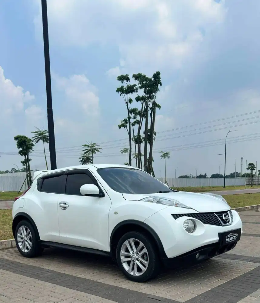 NISSAN JUKE (2013)